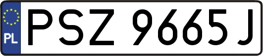 PSZ9665J