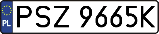PSZ9665K