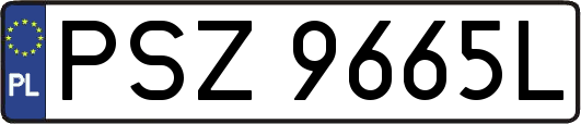 PSZ9665L