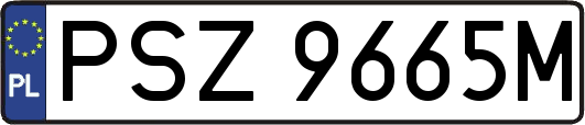 PSZ9665M