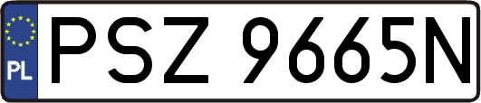 PSZ9665N