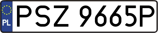 PSZ9665P