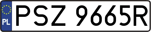 PSZ9665R
