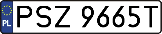 PSZ9665T