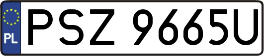 PSZ9665U