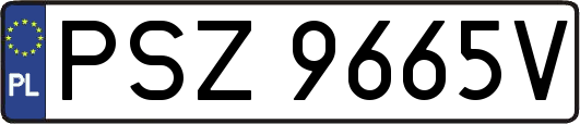PSZ9665V
