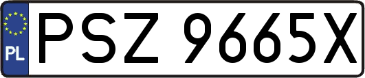 PSZ9665X