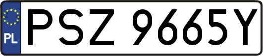 PSZ9665Y