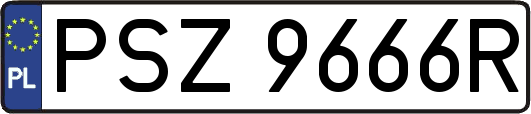 PSZ9666R