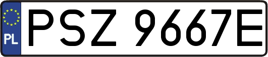 PSZ9667E