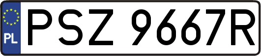 PSZ9667R