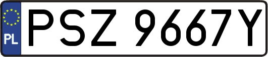 PSZ9667Y