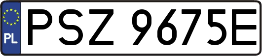 PSZ9675E