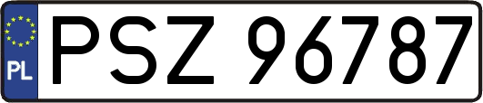 PSZ96787