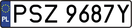 PSZ9687Y