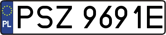 PSZ9691E