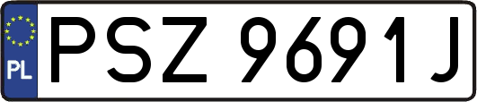 PSZ9691J