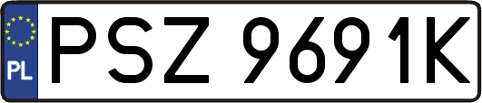 PSZ9691K