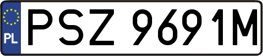 PSZ9691M