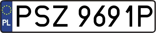 PSZ9691P