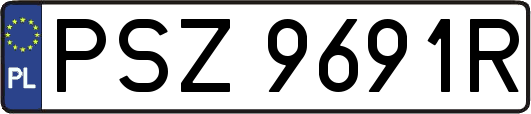 PSZ9691R