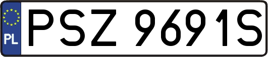 PSZ9691S