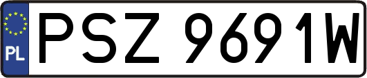 PSZ9691W