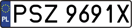 PSZ9691X