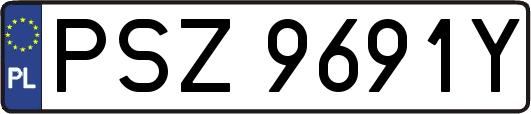 PSZ9691Y