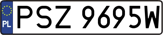 PSZ9695W