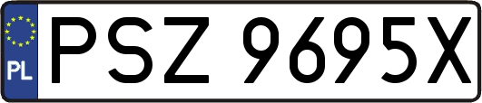 PSZ9695X