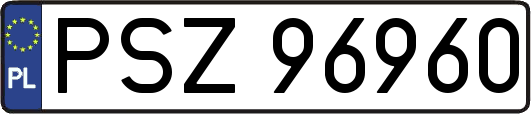 PSZ96960