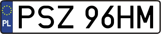 PSZ96HM