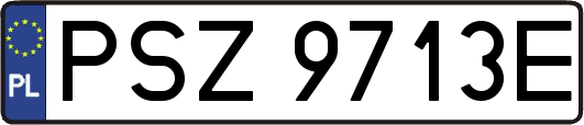 PSZ9713E