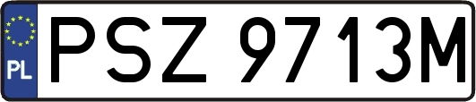 PSZ9713M