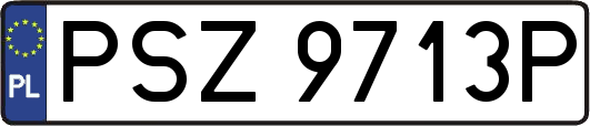 PSZ9713P