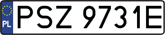 PSZ9731E