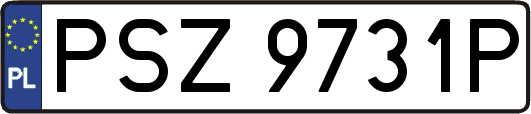 PSZ9731P
