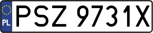 PSZ9731X