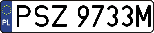PSZ9733M