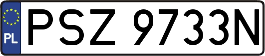 PSZ9733N