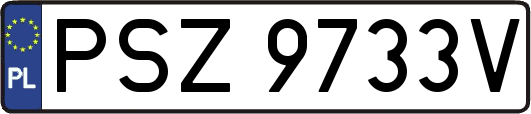 PSZ9733V