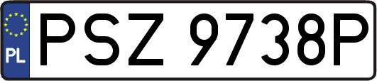 PSZ9738P