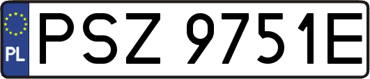 PSZ9751E