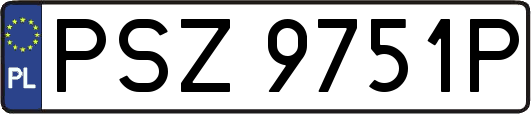 PSZ9751P