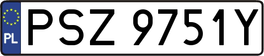 PSZ9751Y
