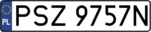 PSZ9757N
