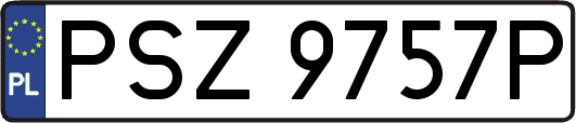PSZ9757P