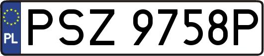 PSZ9758P