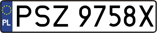 PSZ9758X
